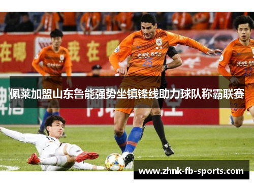 佩莱加盟山东鲁能强势坐镇锋线助力球队称霸联赛 佩莱加盟山东鲁能强势坐镇锋线助力球队称霸联赛