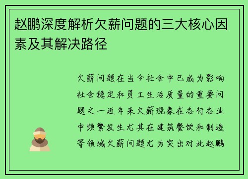 赵鹏深度解析欠薪问题的三大核心因素及其解决路径 赵鹏深度解析欠薪问题的三大核心因素及其解决路径