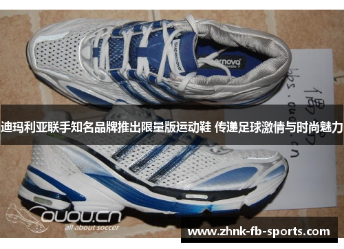 迪玛利亚联手知名品牌推出限量版运动鞋 传递足球激情与时尚魅力 迪玛利亚联手知名品牌推出限量版运动鞋 传递足球激情与时尚魅力