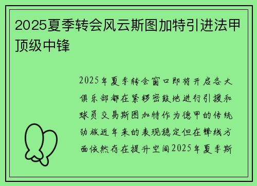 2025夏季转会风云斯图加特引进法甲顶级中锋